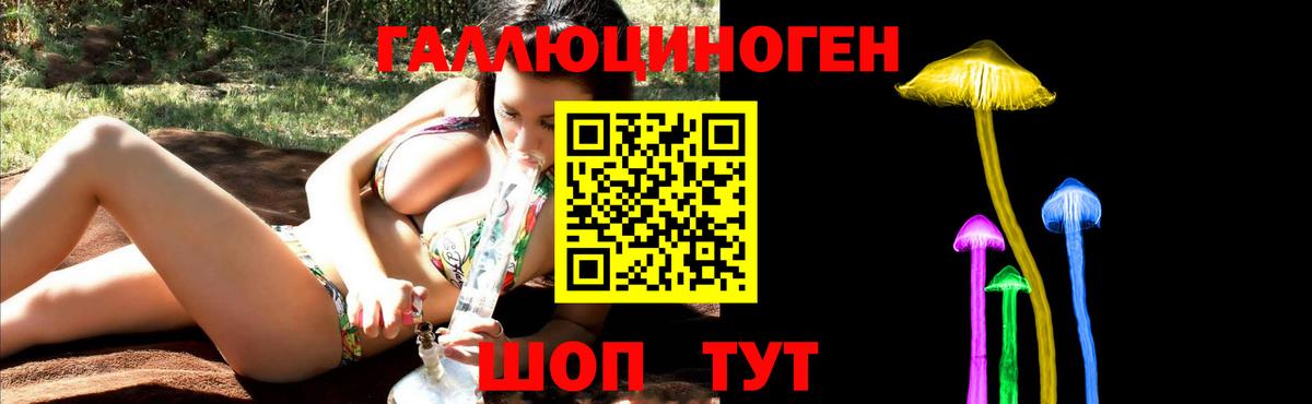 где купить наркоту  Вход с VPN  Малгобек  Галлюциногенные грибы Psilocybine cubensis  Галлюциногенные грибы мицелий 